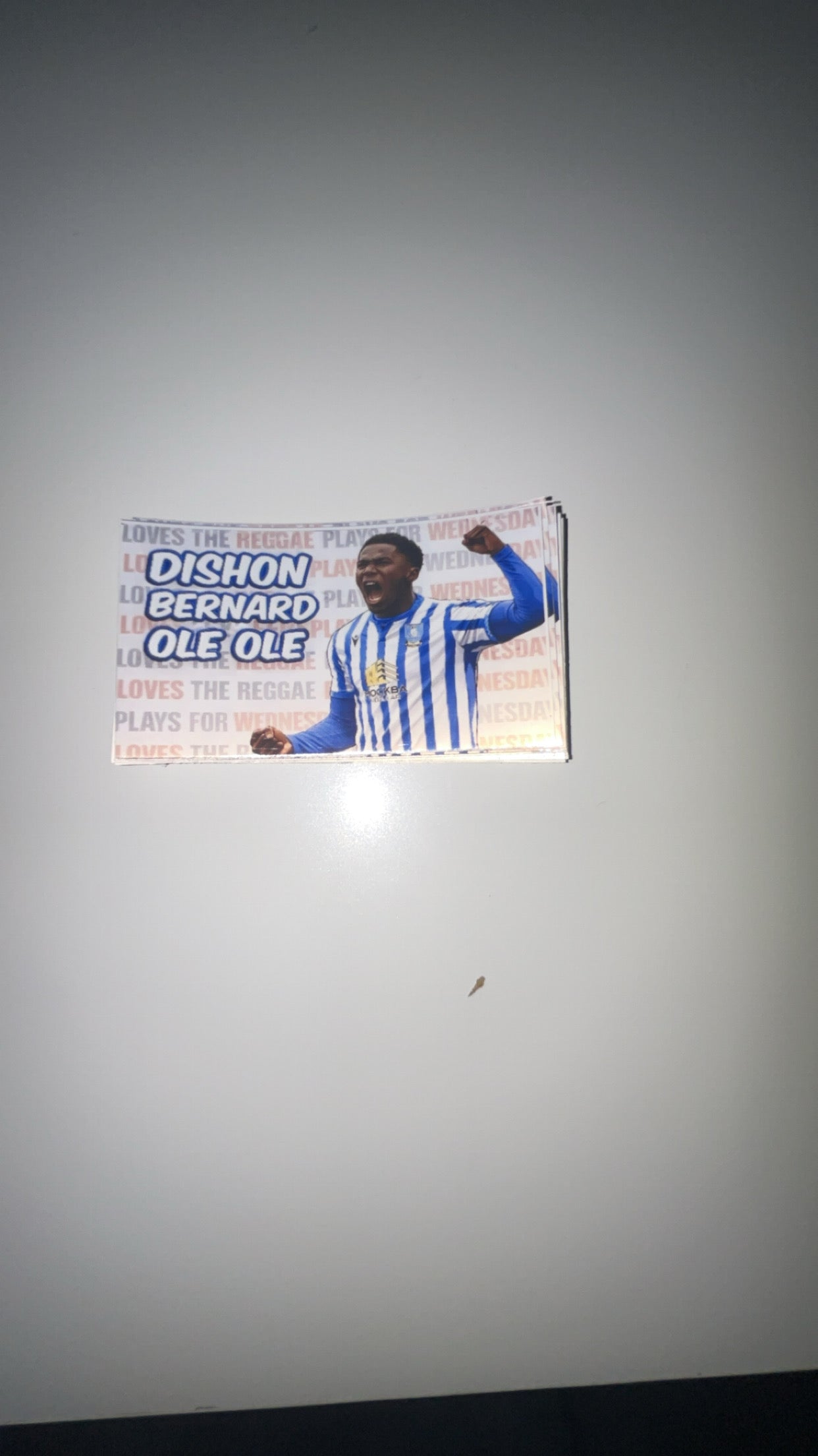 20 swfc stickers -Bernard